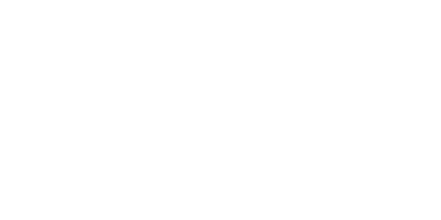 starlights renovations logo